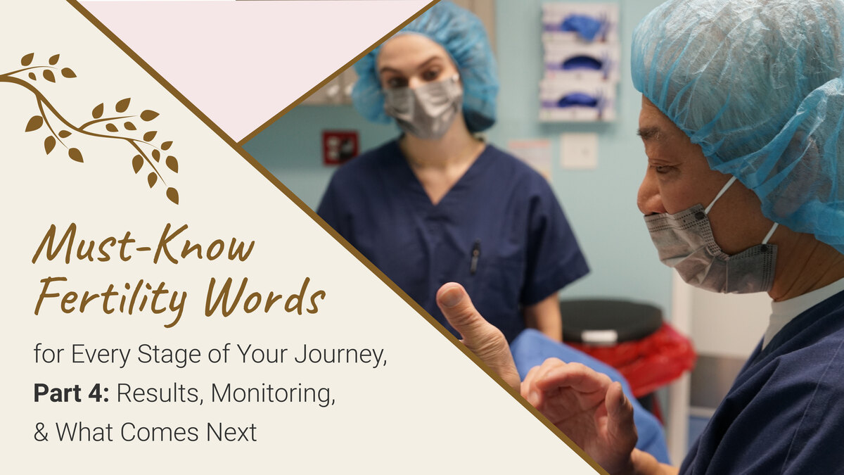 Must-Know Fertility Words for Every Stage of Your Journey, Part 4: Results, Monitoring, and What Comes Next