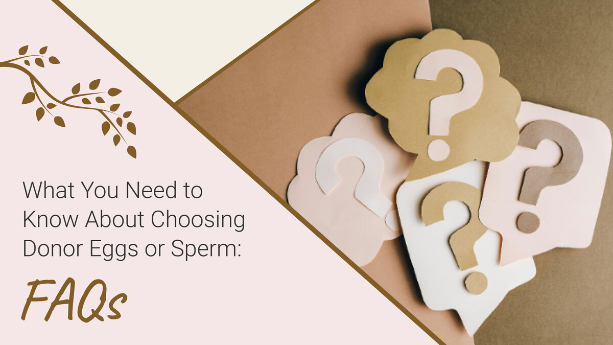 What You Need to Know About Choosing Donor Eggs or Sperm: FAQs