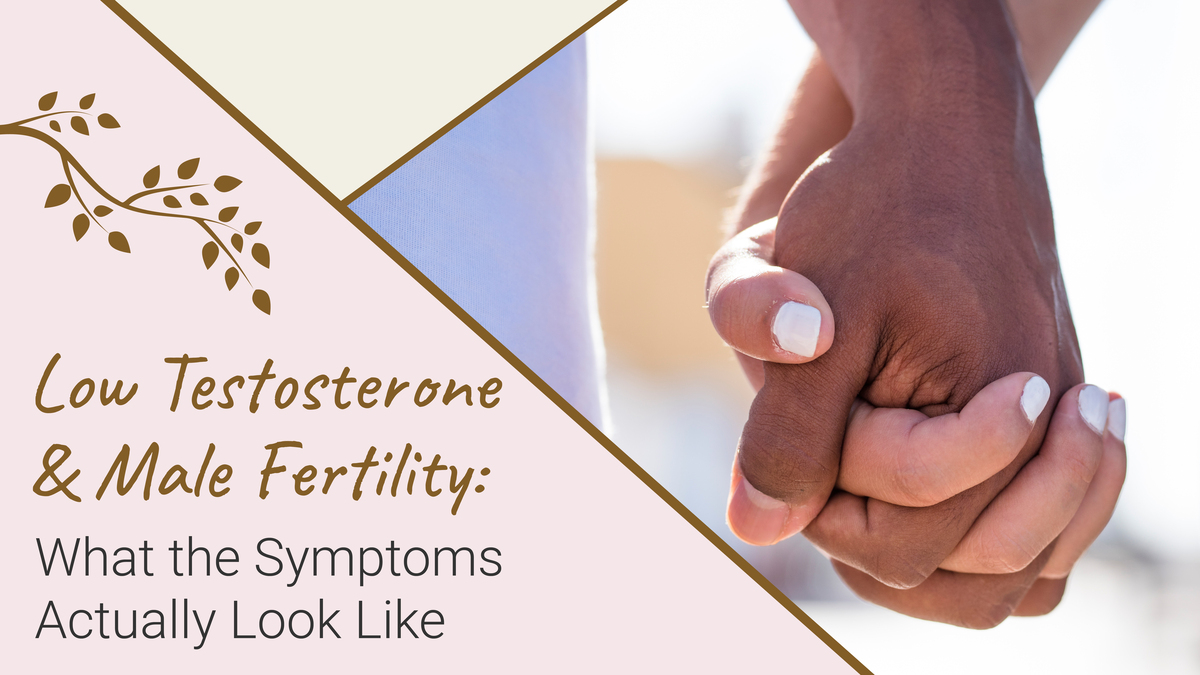 picture of a two peoples holding hands with fingers interlocked with the caption, "Low testosterone and Male Fertility: What the Symptoms Actually Look Like