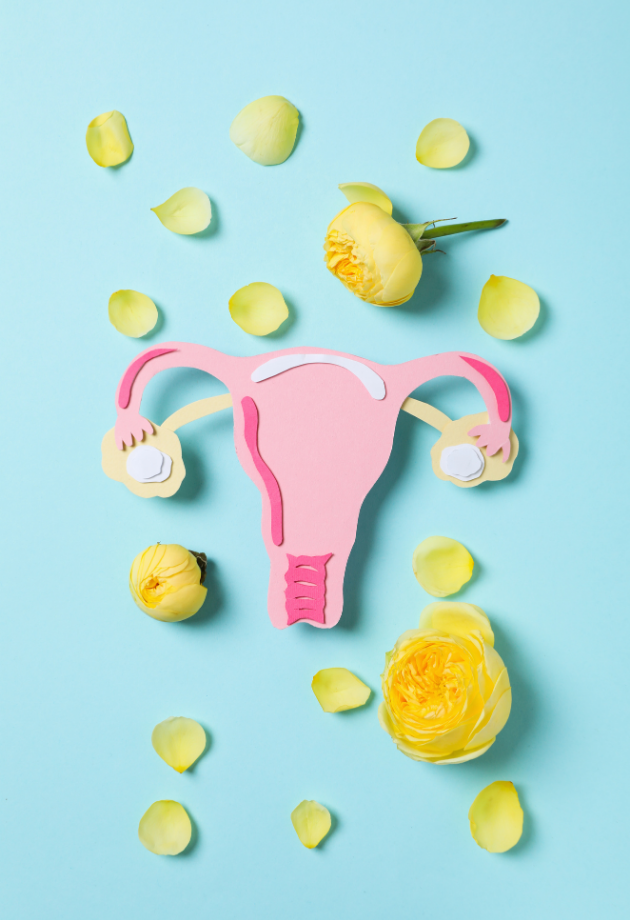 uterus cutout graphic on blue background with yellow flowers and petals scattered around