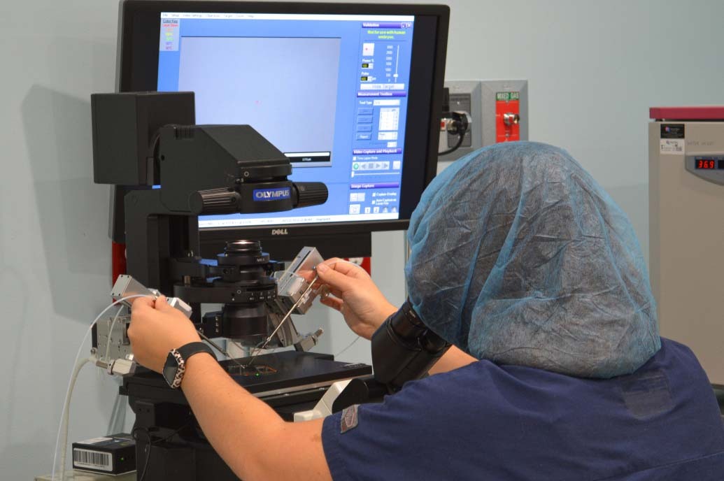 Intracytoplasmic Sperm Injection (ICSI) Fertility Treatment